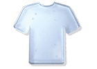 Shirt icon